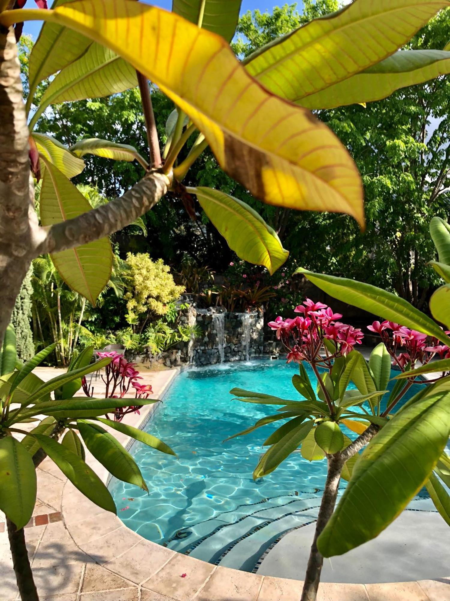 Hotel Villa Therese Port-au-Prince Exterior photo